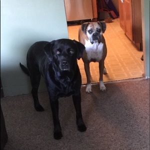 Meet your Posher, Cindy